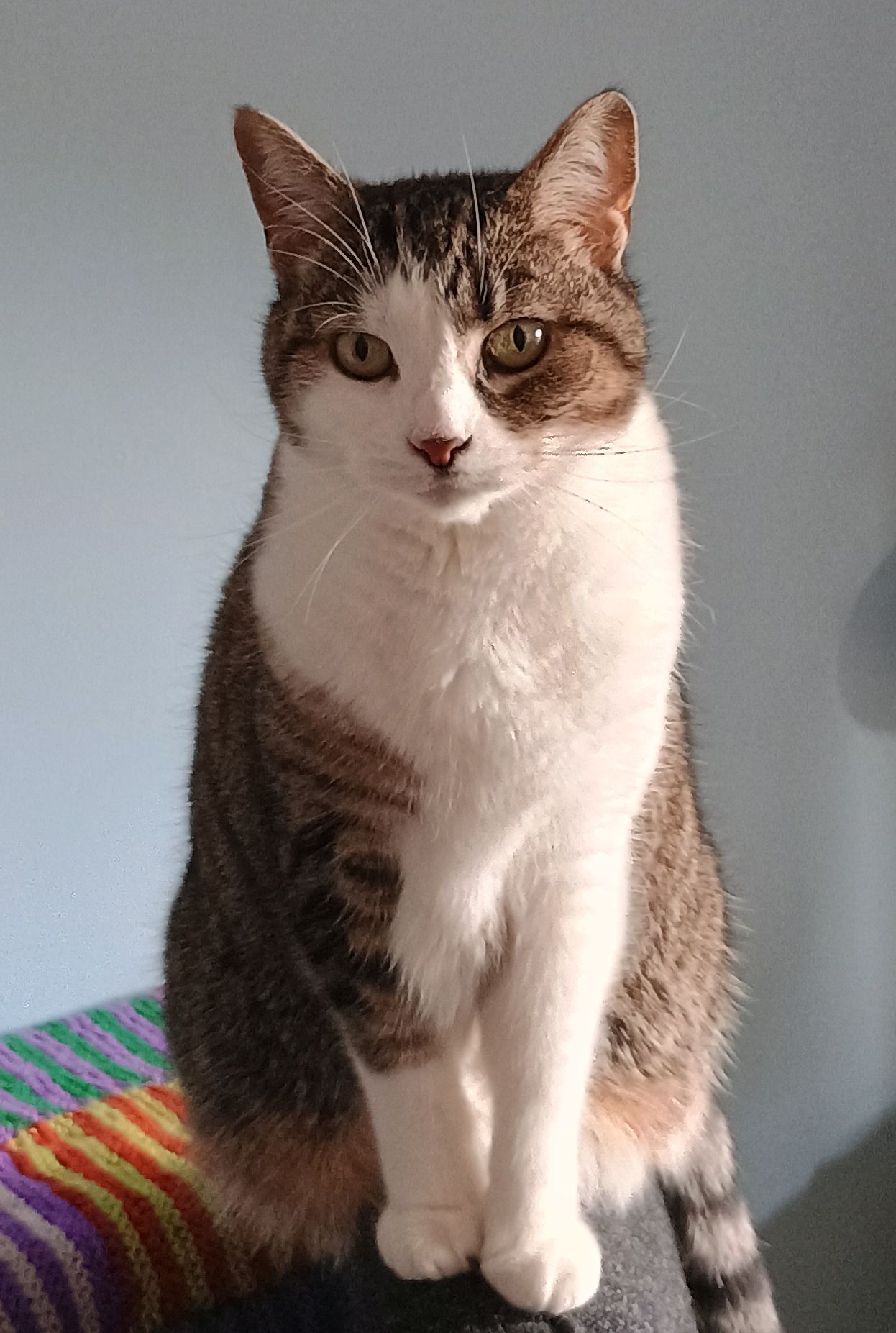 Queenie